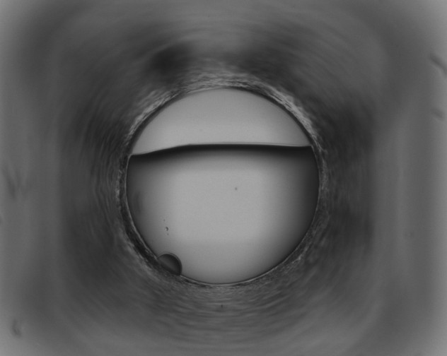 X0000093420010200710120906