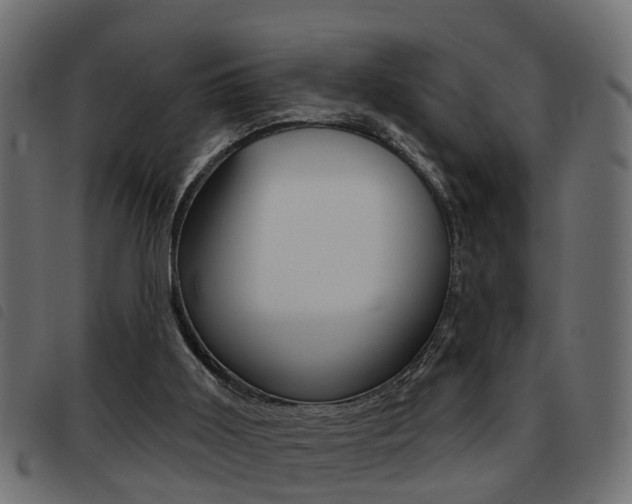 X0000093420011200710120906