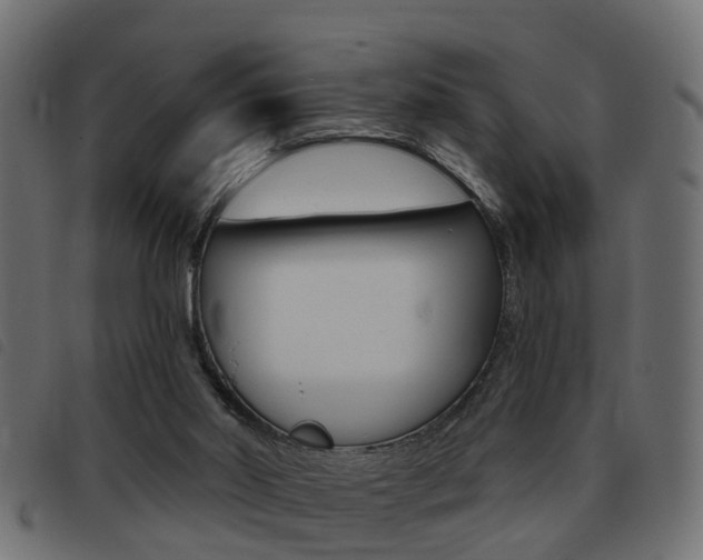 X0000093420014200710120906