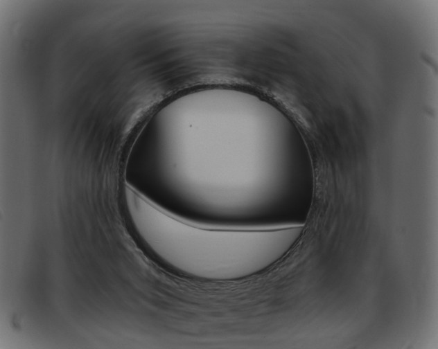 X0000093420015200710120906