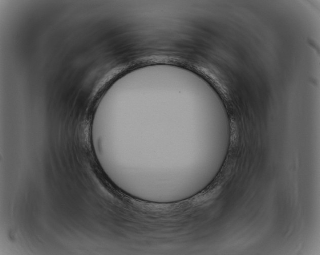 X0000093420016200710120906