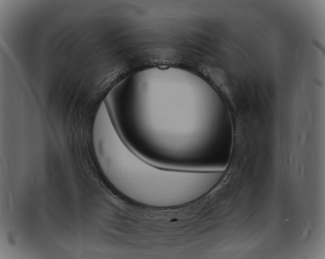 X0000093420017200710120906