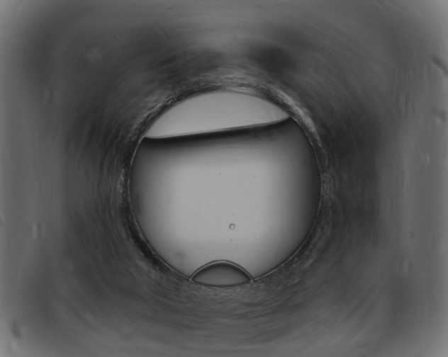 X0000093420018200710120906