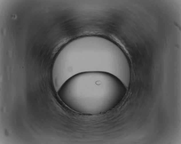 X0000093420019200710120906