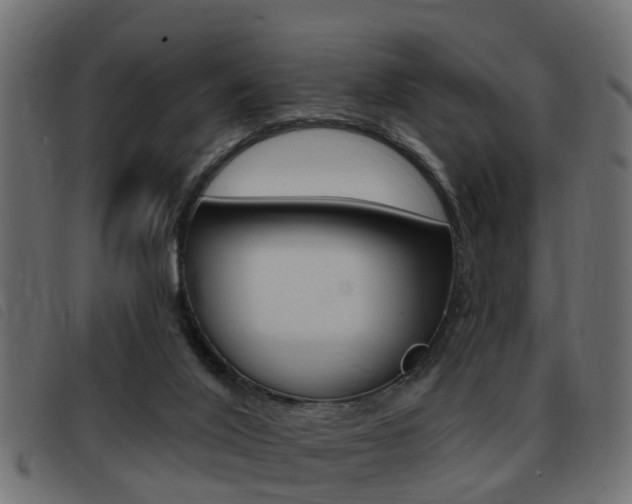 X0000093420020200710120906