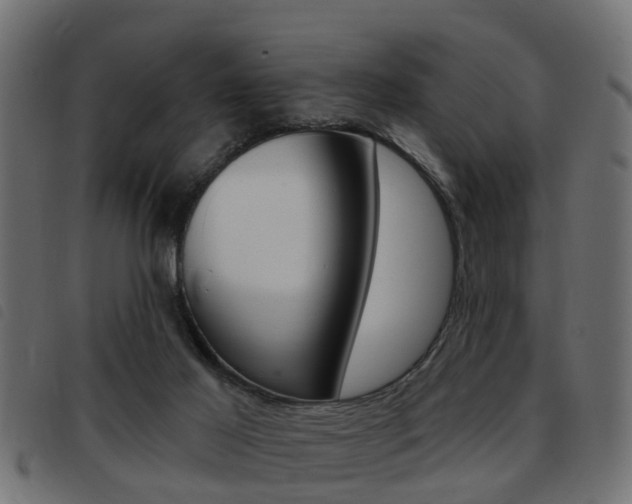 X0000093420021200710120906