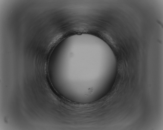 X0000093420023200710120906