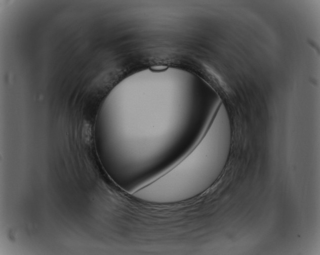 X0000093420025200710120906