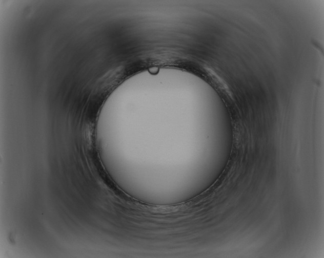 X0000093420026200710120906