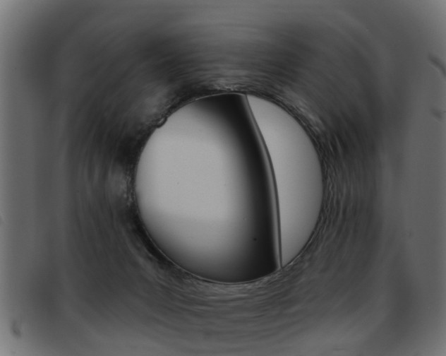 X0000093420031200710120906