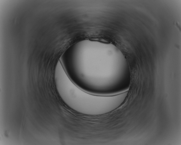 X0000093420033200710120906