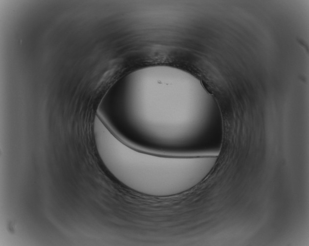 X0000093420035200710120906