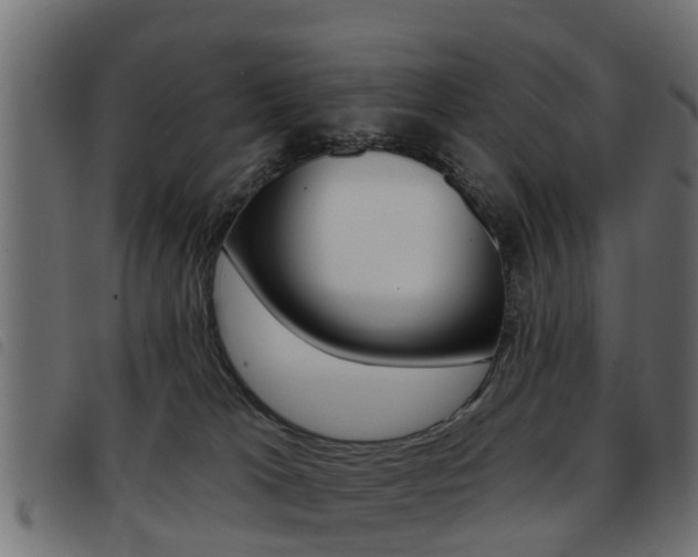 X0000093420037200710120906