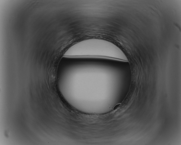 X0000093420040200710120906