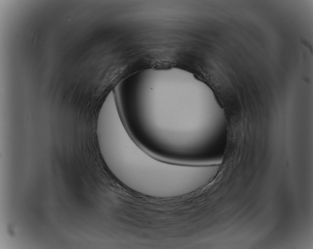 X0000093420041200710120906