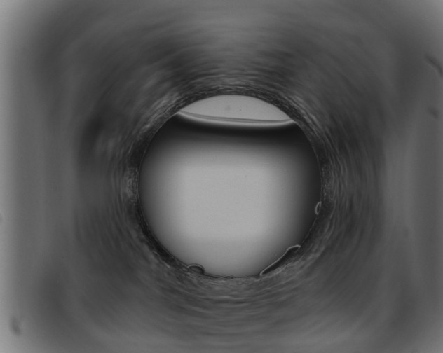 X0000093420044200710120906