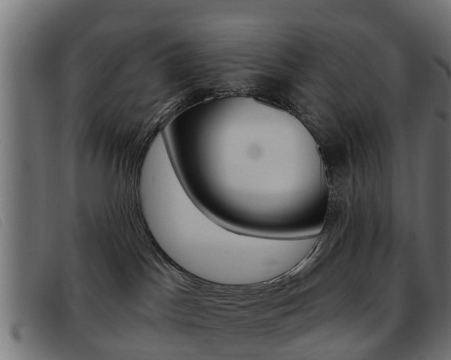 X0000093420045200710120906