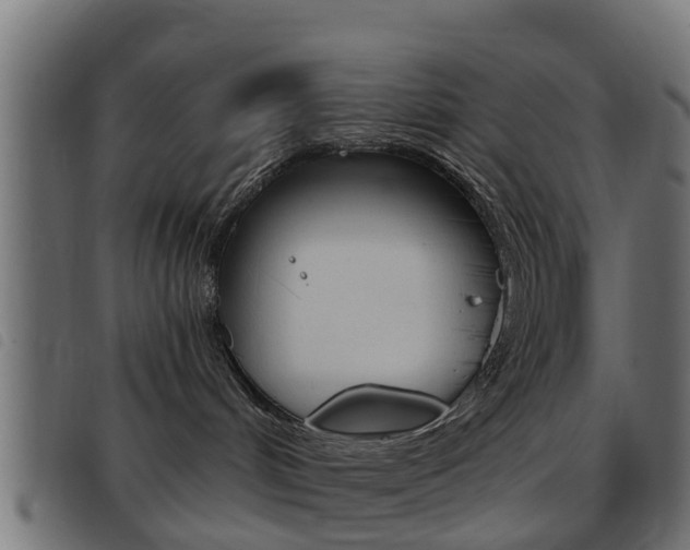 X0000093420048200710120906