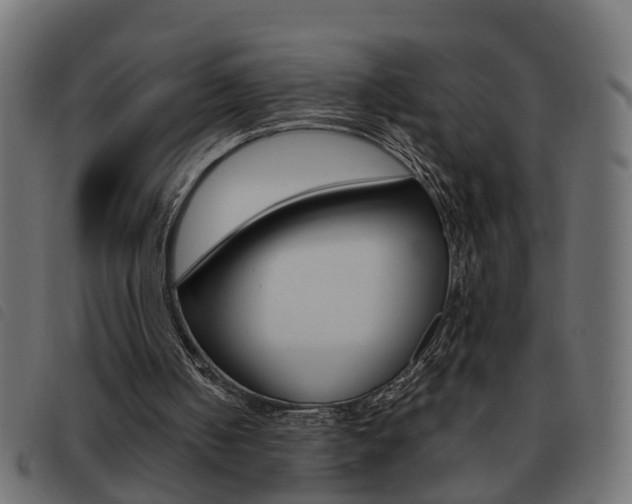 X0000093420050200710120905