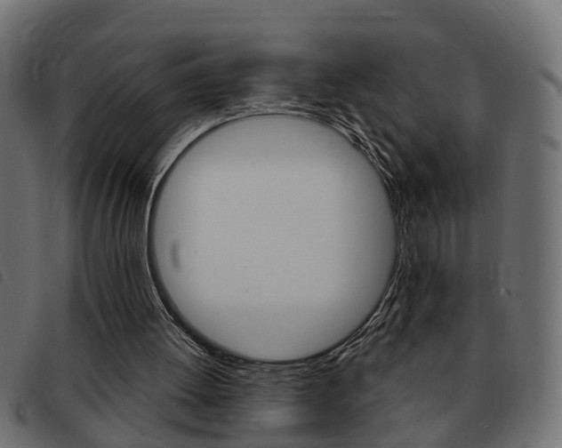X0000093420052200710120905