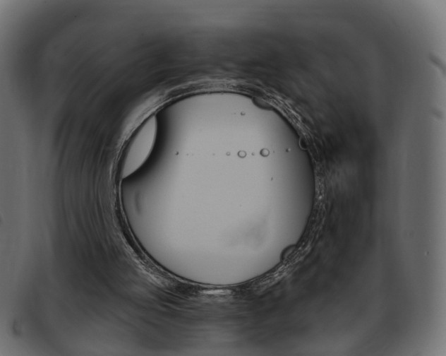 X0000093420053200710120905