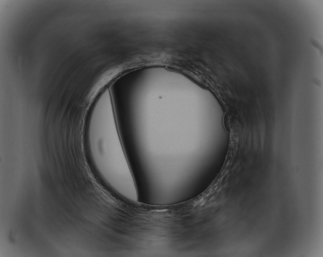 X0000093420054200710120905