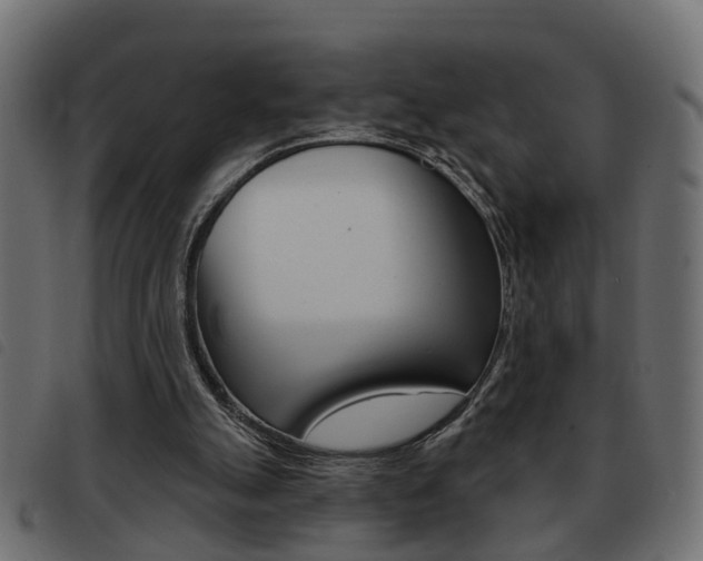 X0000093420055200710120905