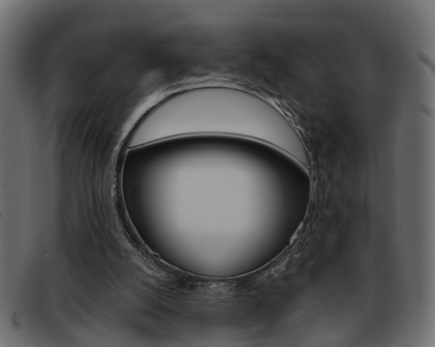 X0000093420056200710120905