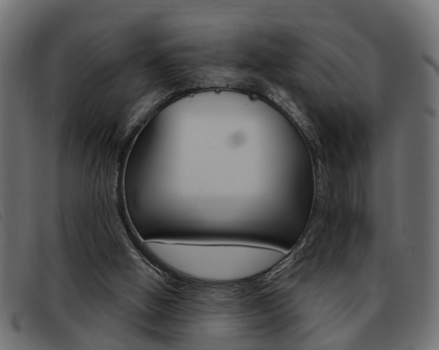 X0000093420058200710120905