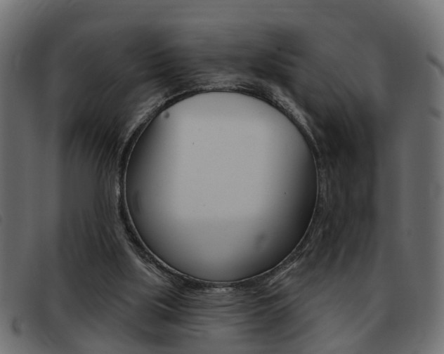 X0000093420059200710120905
