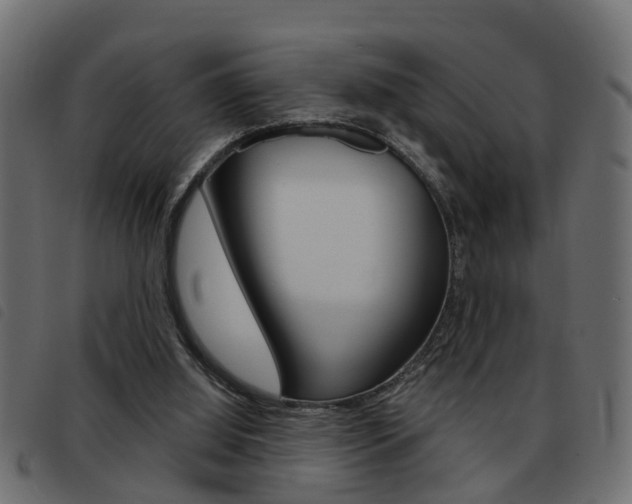X0000093420060200710120905