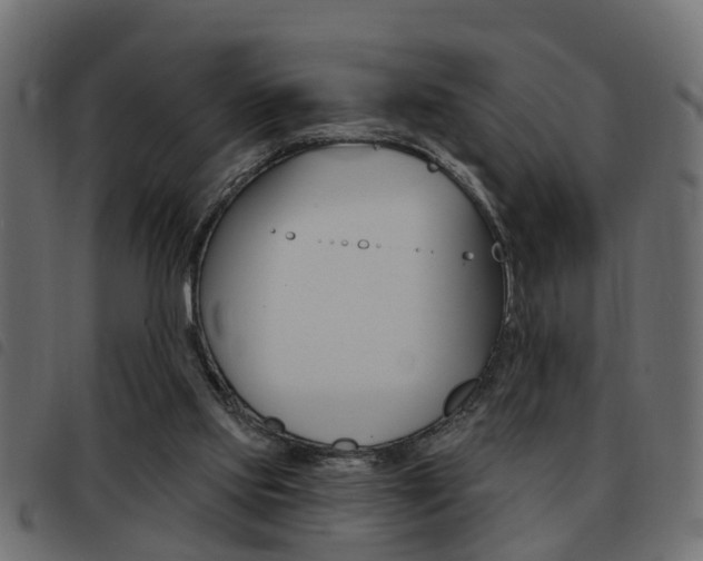 X0000093420061200710120905