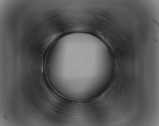 X0000093420062200710120905