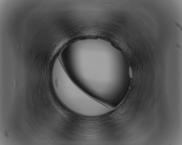 X0000093420064200710120905