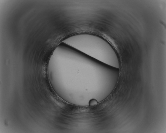 X0000093420065200710120905