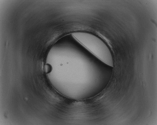 X0000093420067200710120905