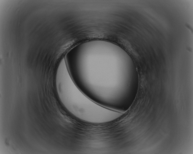 X0000093420068200710120905