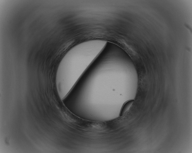 X0000093420070200710120905