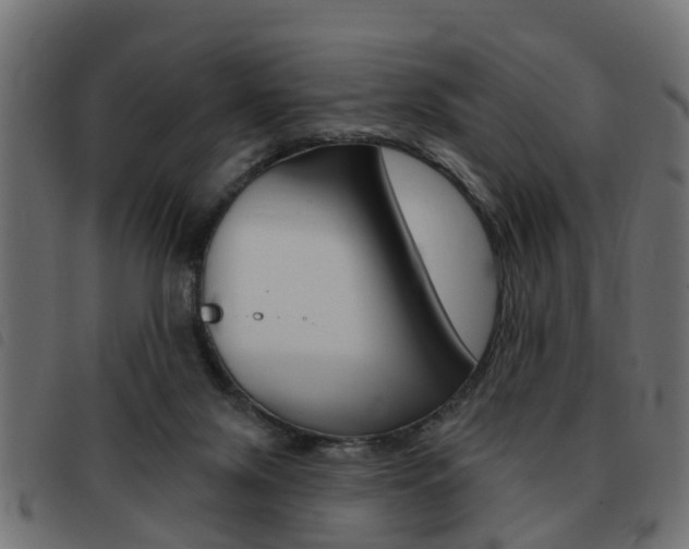 X0000093420071200710120905