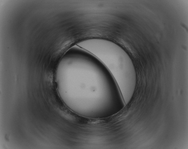 X0000093420072200710120905