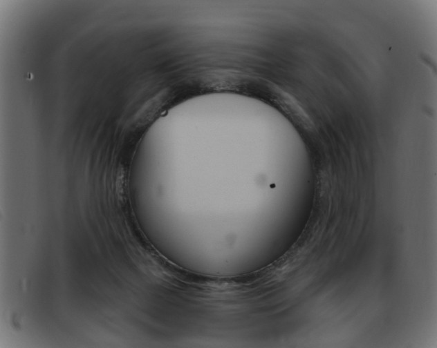 X0000093420073200710120905