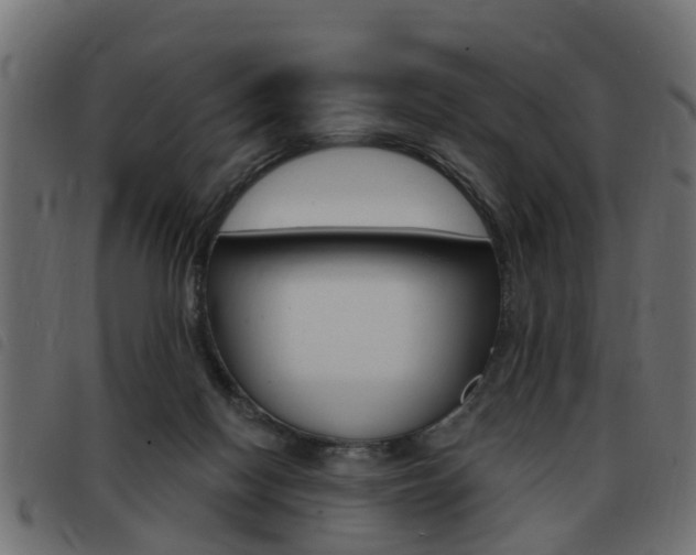 X0000093420074200710120905