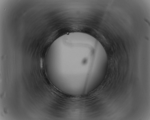 X0000093420075200710120905
