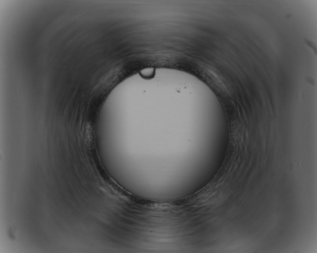 X0000093420077200710120905