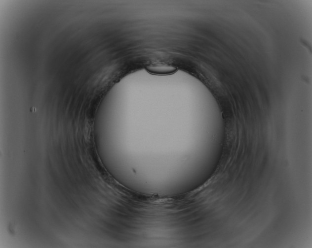 X0000093420078200710120905