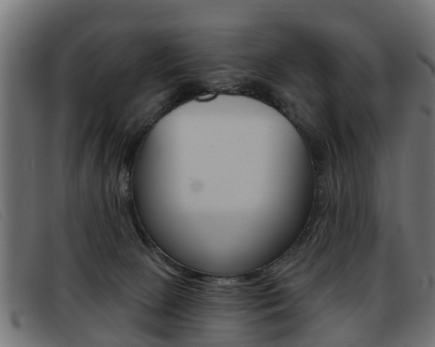 X0000093420081200710120905