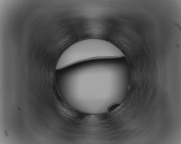X0000093420082200710120905