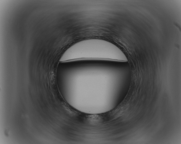 X0000093420087200710120905