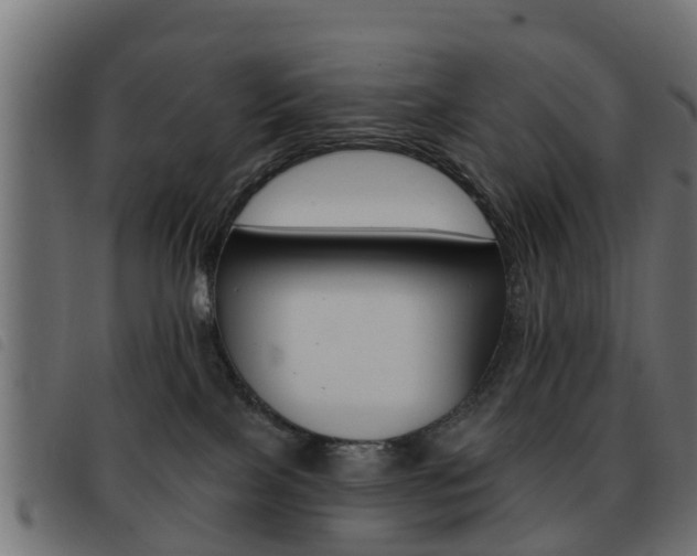 X0000093420089200710120905
