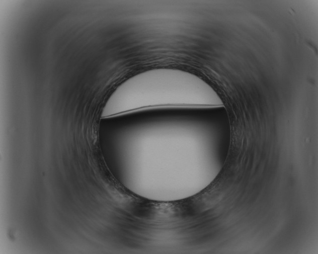 X0000093420091200710120906
